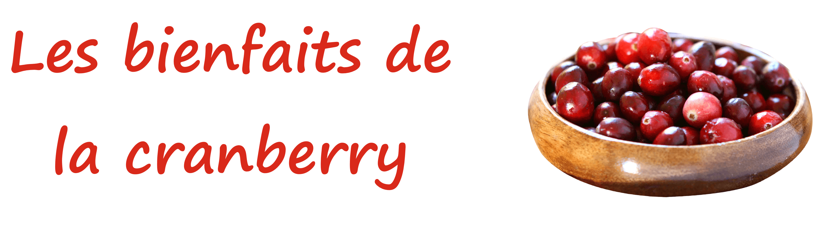 Les bienfaits de la cranberry pour mon chien et chat